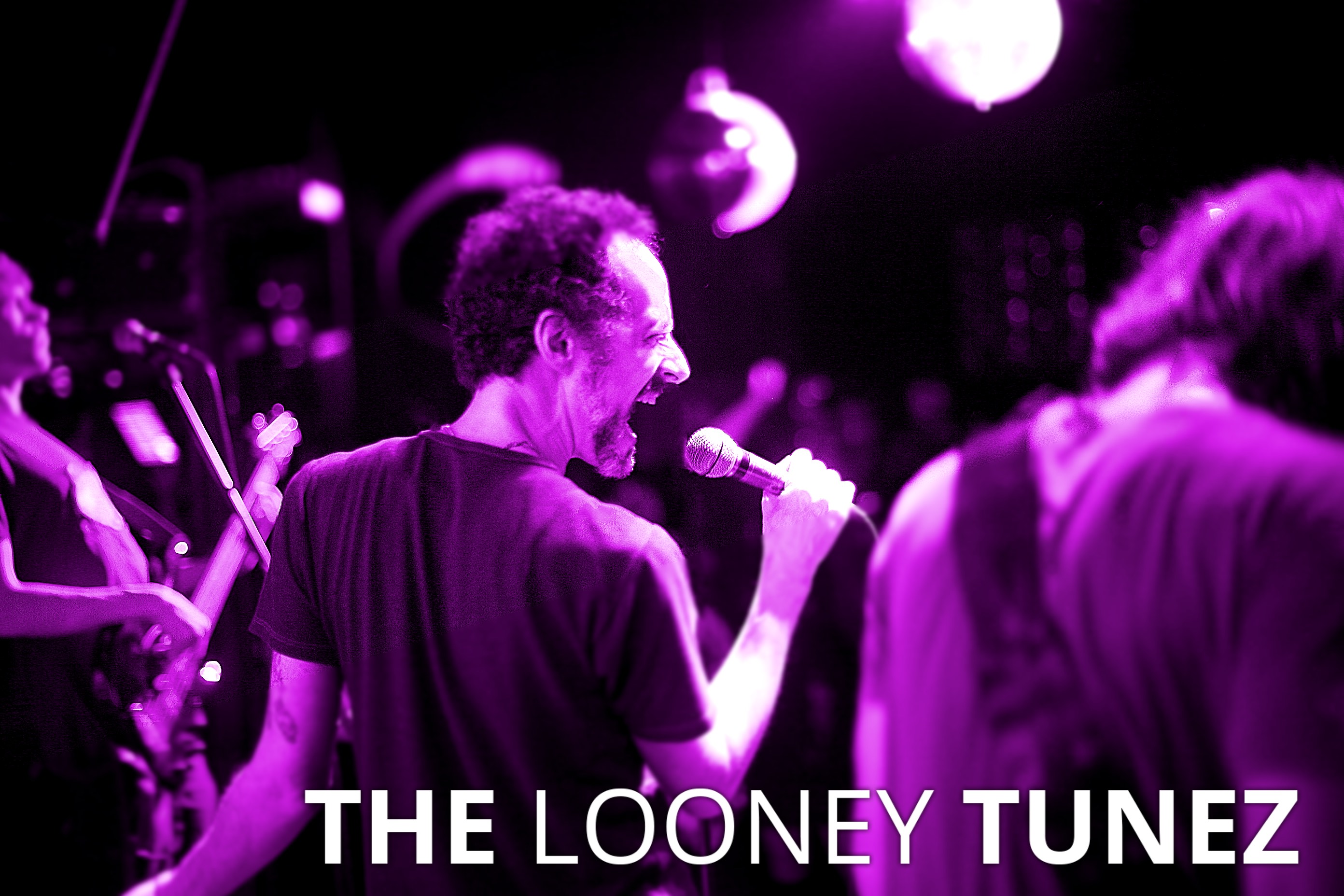 looneytunez bild